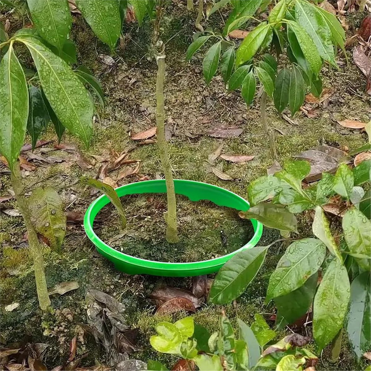 Большая скидка: 4 защитных кол – обзор и цена Gardening Tools Big